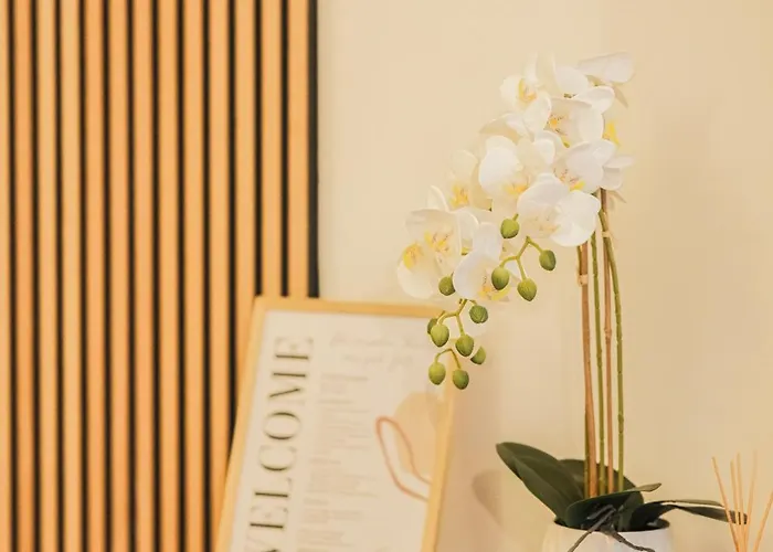 Moderne 3-schlafzimmer-apartments Mit Balkon & Aufzug Bis 6 Personen *